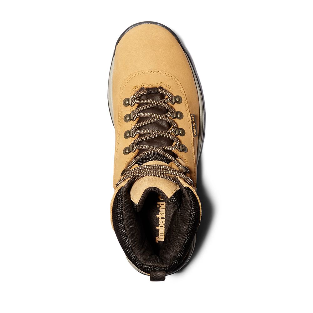 Botas de Caminhada Masculino - Timberland White Ledge Mid Impermeavel - UAWTD1528 - Marrom/Pretas